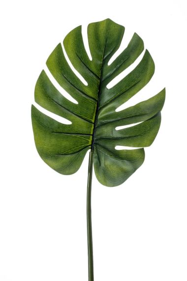 Emerald-monstera-blad