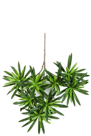 Kunsttak podocarpus groen